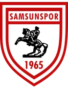 logo Samsunspor